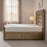 Gloucester Bed - Divan