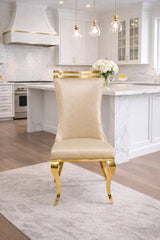 Greek Curved High Back , Sculpted-Leg , Contemporary Dining Chair