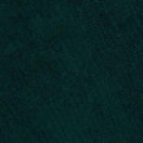 DAPPLE TEAL