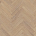 Desert Oak