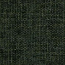 ENZO FOREST GREEN