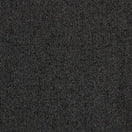 GRAMPIAN COAL