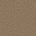 Cedar
