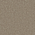 Kernel