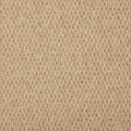 Sahara