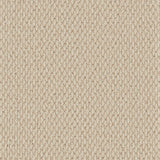 Primo Textures