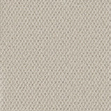 Primo Textures