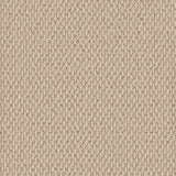 Primo Textures