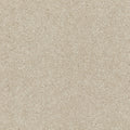 Aniseed