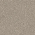 Arctice Grey