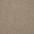 Cambrian Stone