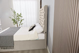 Mounty Bed