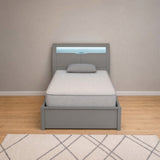Flora bed