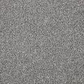 Grey Patridge