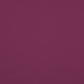 Raspberry